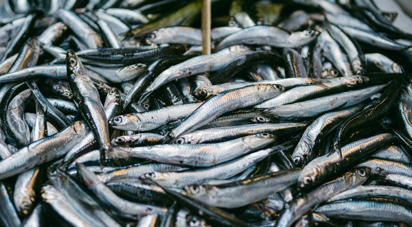 Essential strategies for pregnant women in the uk to beat the summer heat: stay cool and comfortable!